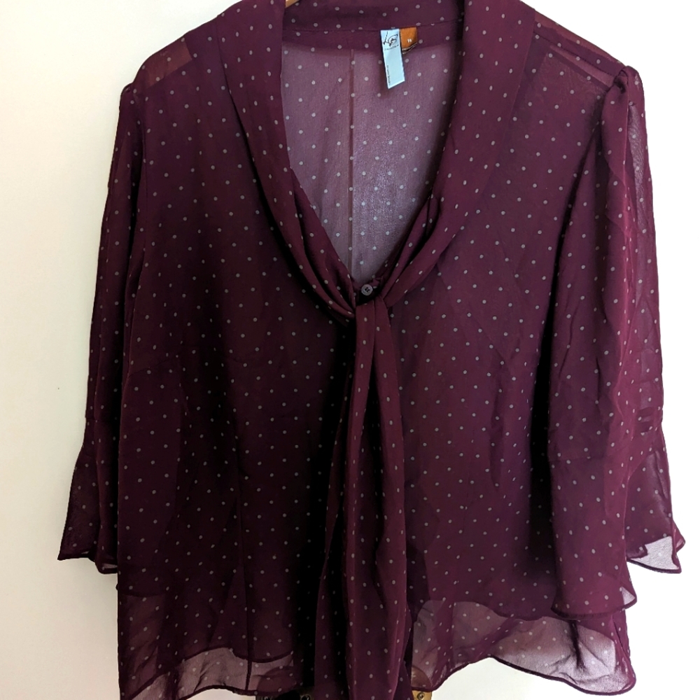 Lane Bryant 90s Sheer V Neck Blouse
